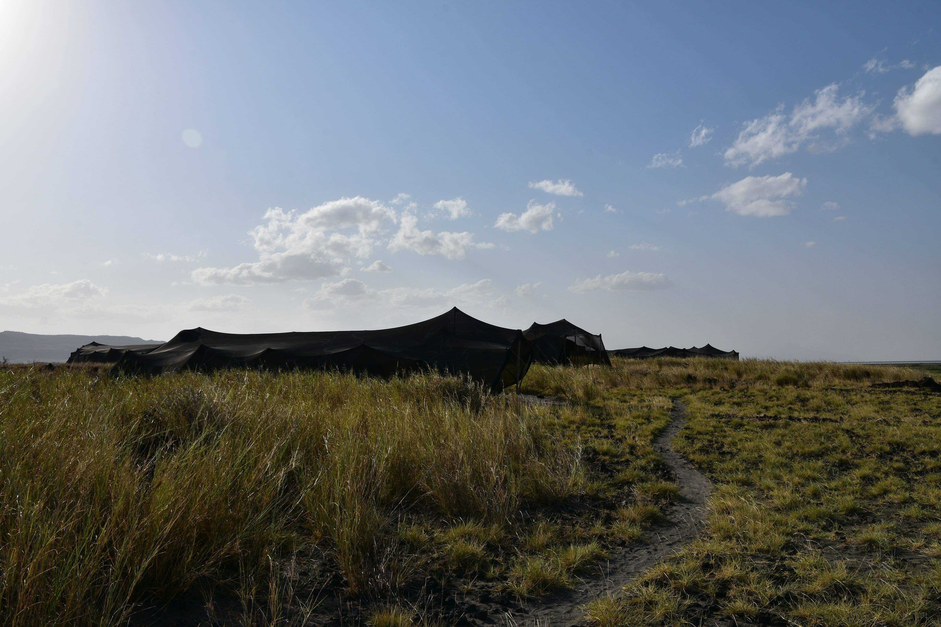 The shade-net tents of Lake Natron Camp in tall grass under a wide sky