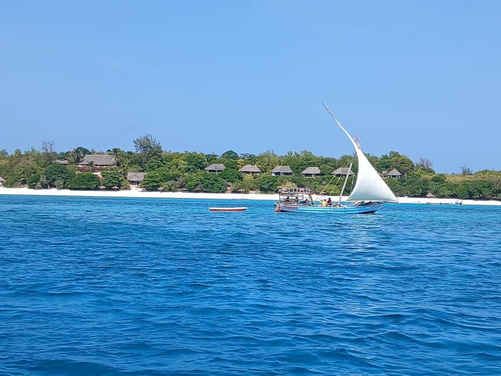 A traditional wooden dhow under sail off a white beach with palm trees
