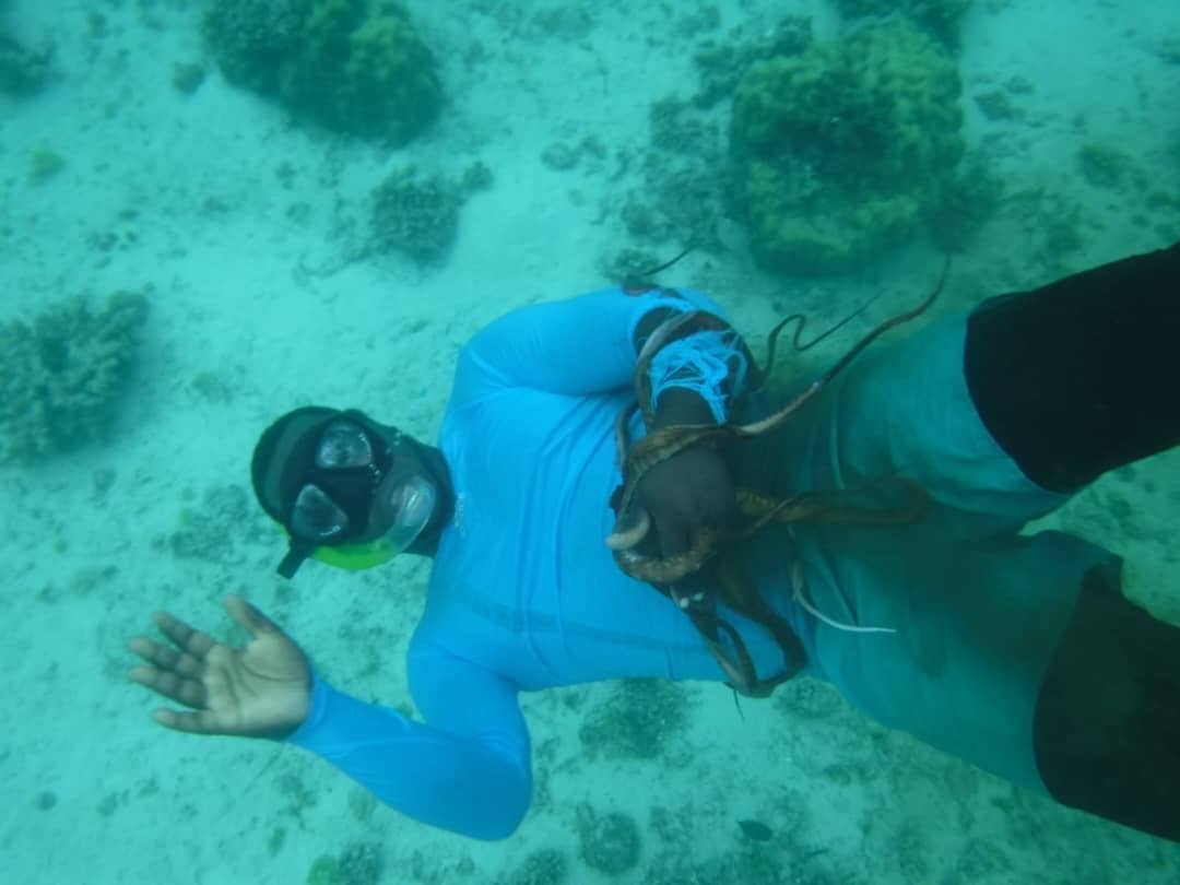 A Tima guide underwater in a long-sleeved shirt and mask, showing guests something from the reef