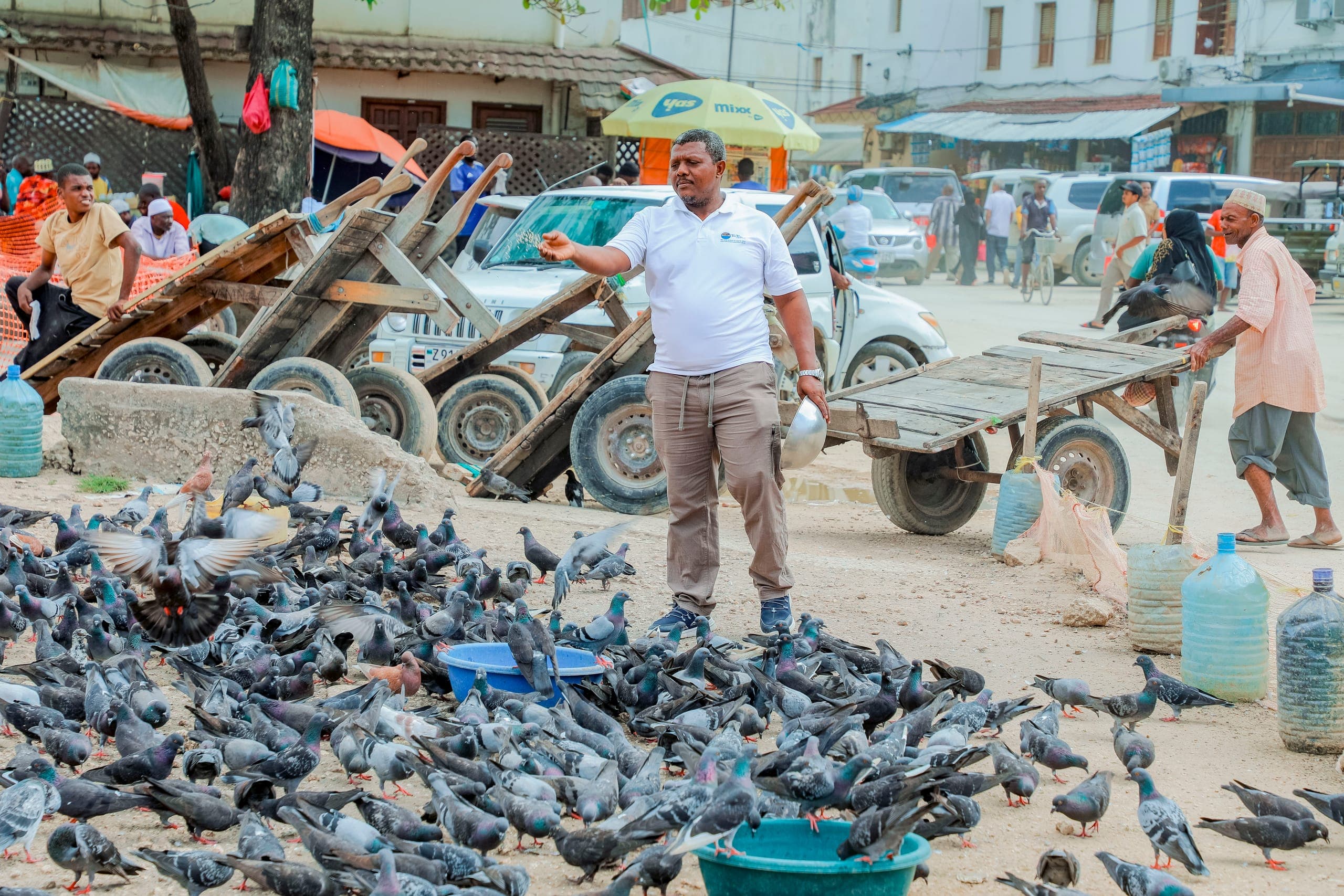A man in a Tima Tours shirt feeding a large flock of pigeons in a Stone Town square