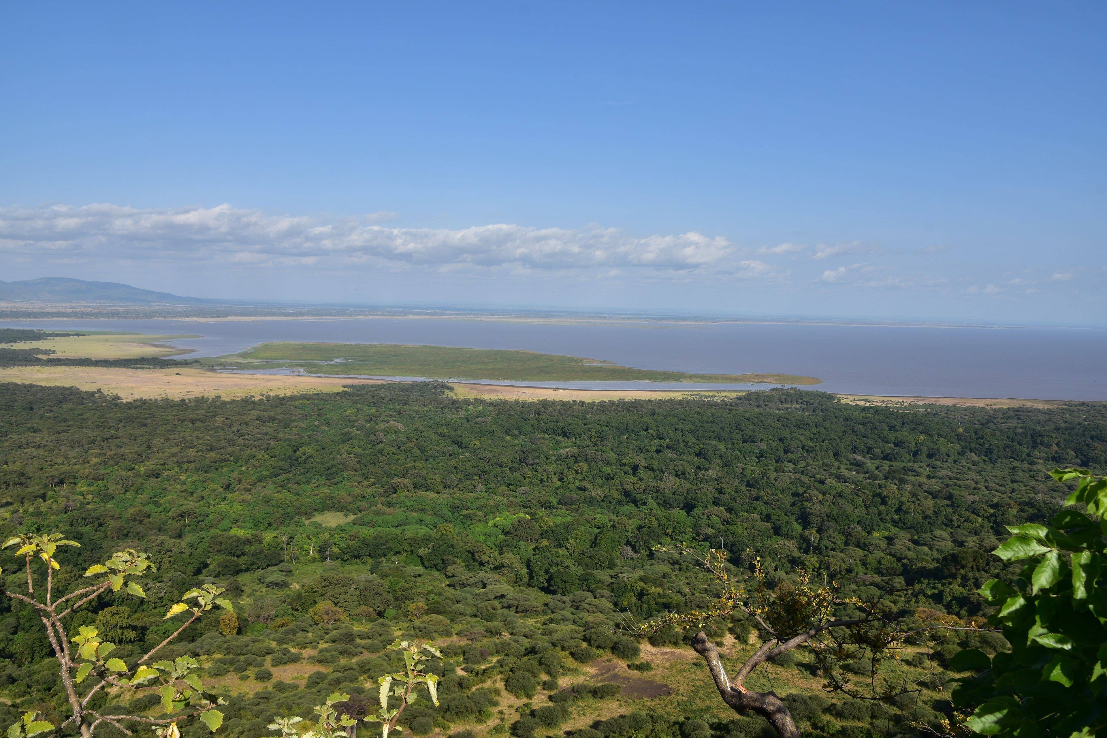 Lake Manyara, where Sound of Silence Lake Manyara is