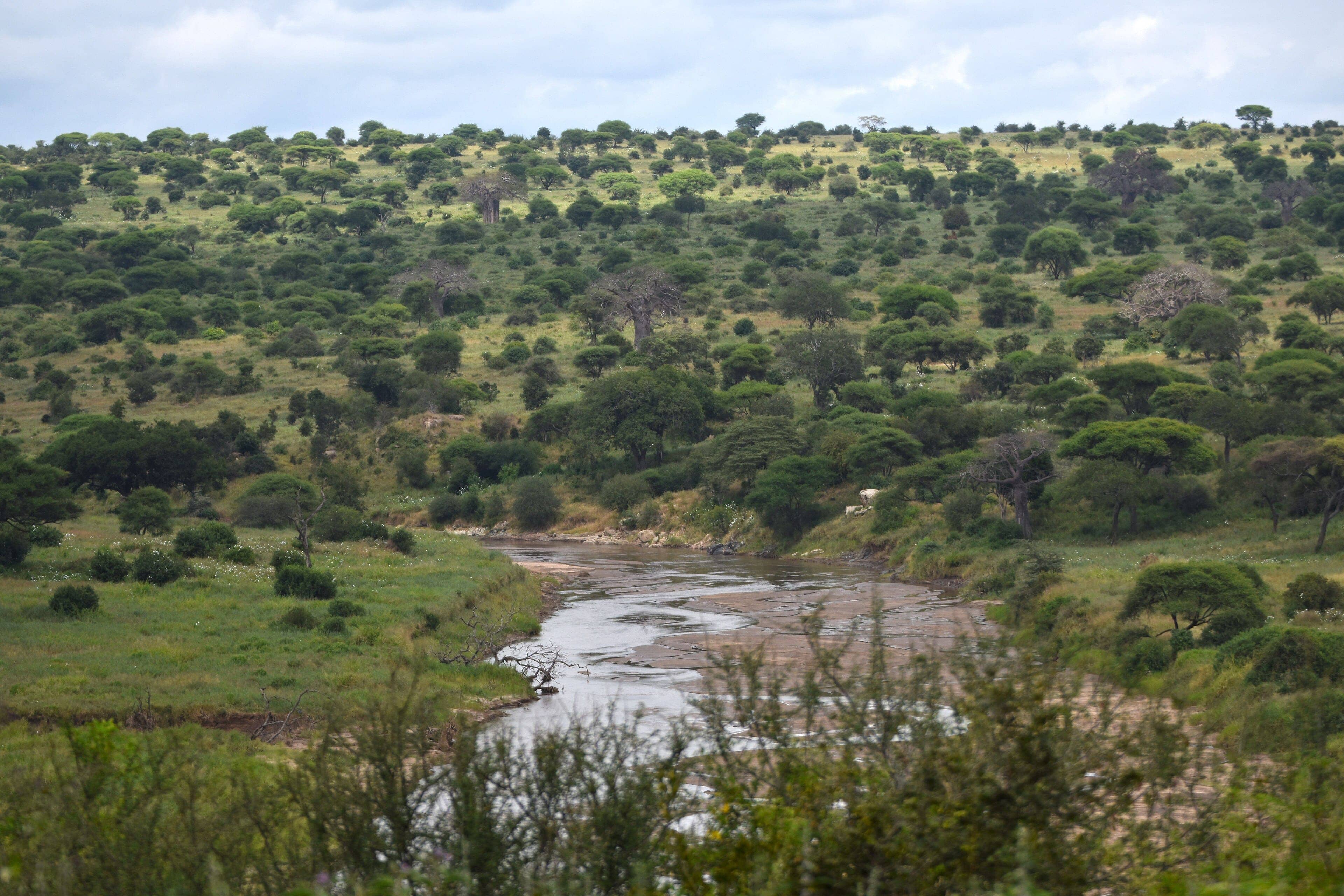 Tarangire, where The Whisper Tarangire is