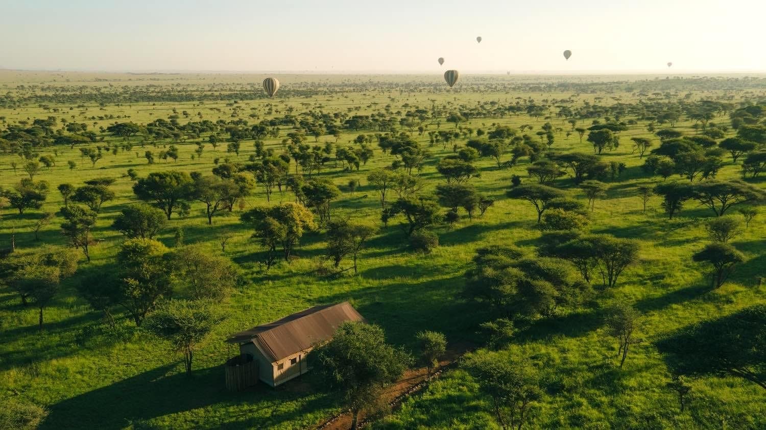 Awali Serengeti