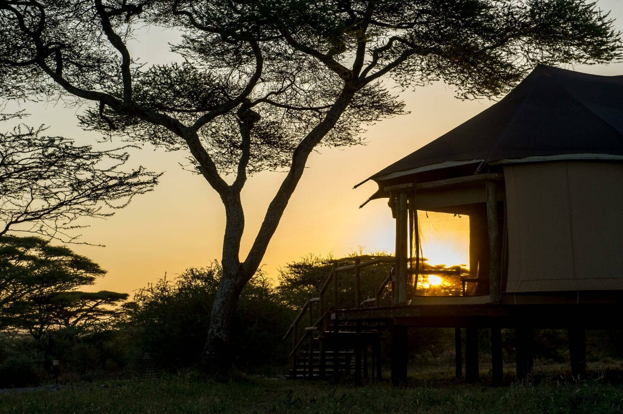 Lake Burunge Baobab Tented Lodge