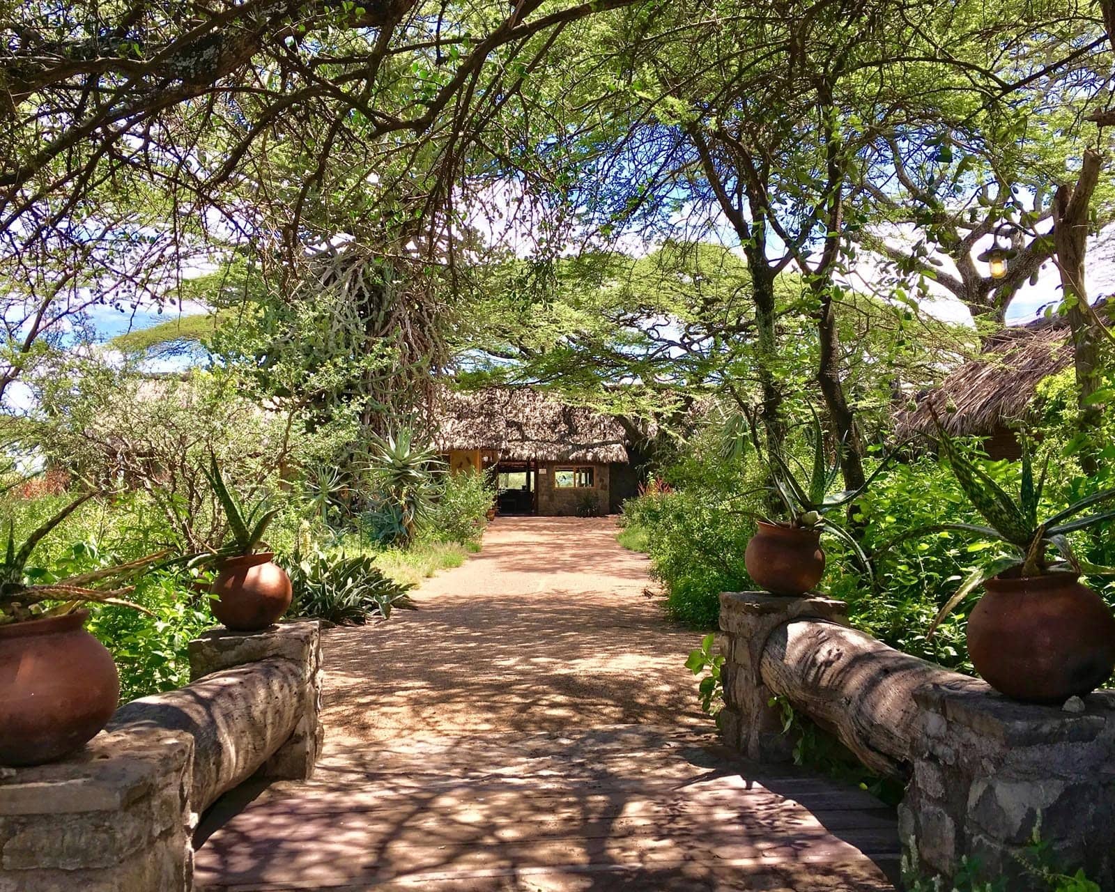 Ndutu Safari Lodge