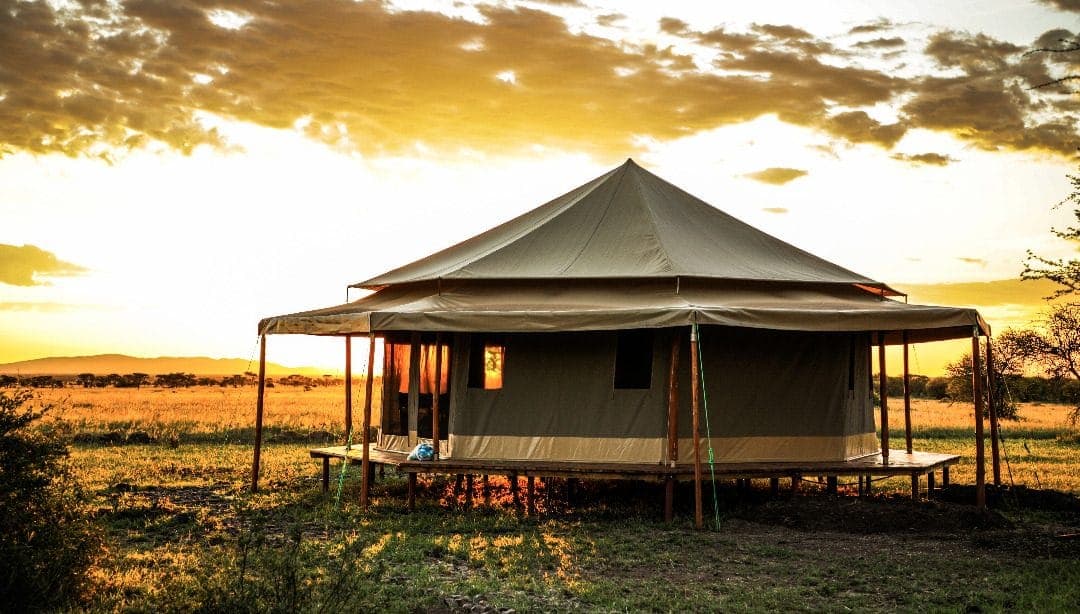 Sound of Silence Serengeti